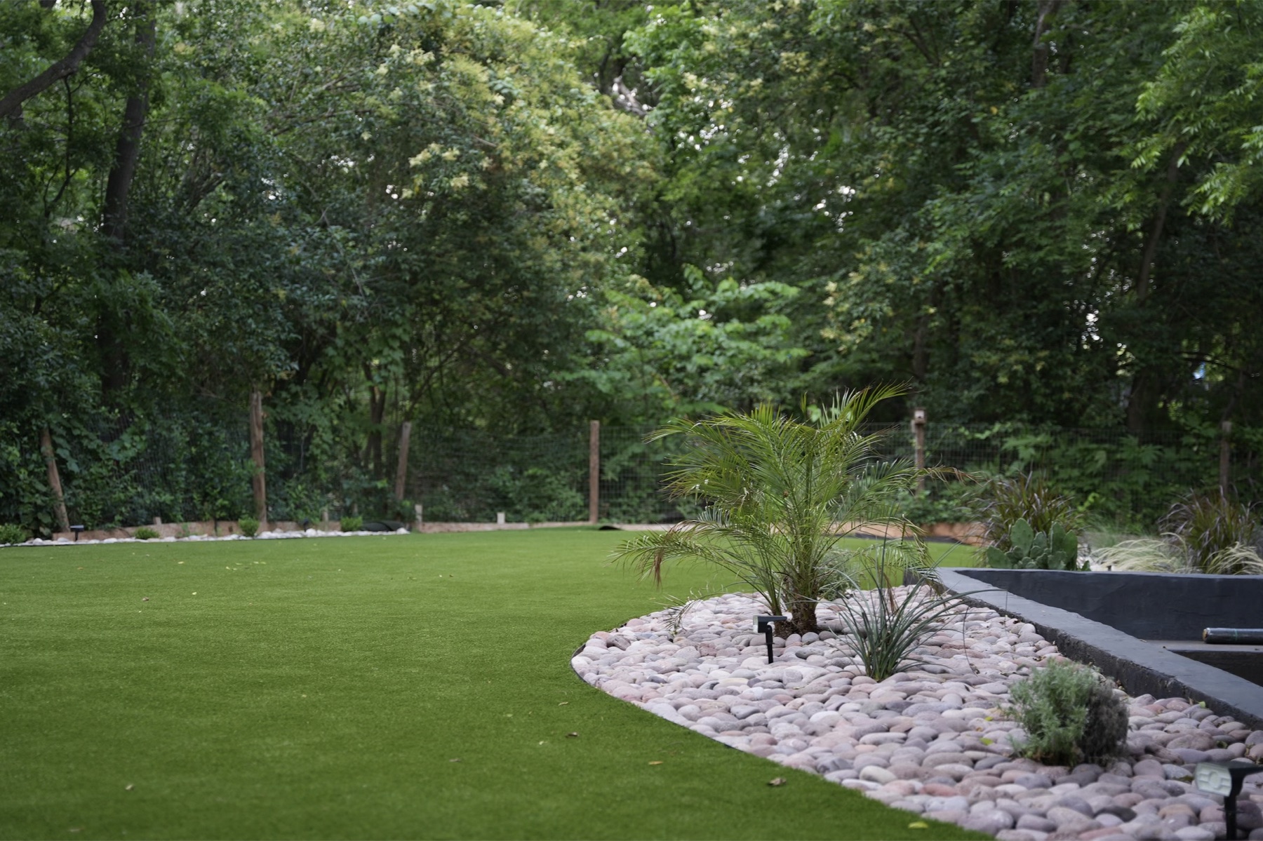 Turf lawn edged with river rock and drought-tolerant plantings at dusk